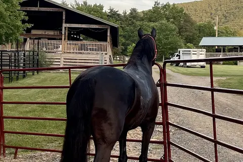 Iron Mountain Horse Camp