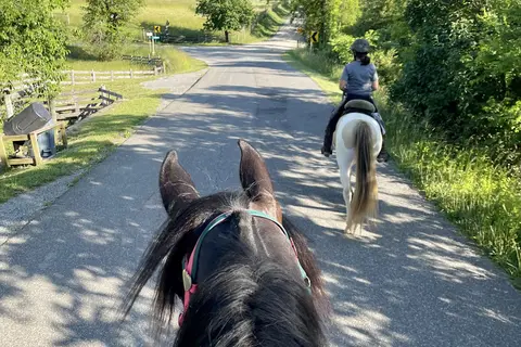 Iron Mountain Horse Camp