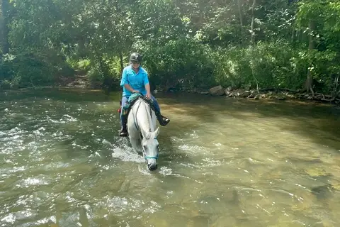 Iron Mountain Horse Camp