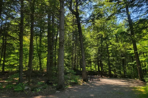 Peaks-Kenny State Park