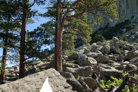 Devils Tower View Campground