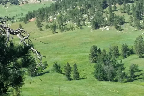 Devils Tower View Campground