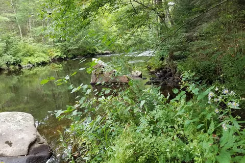 Cascade Park Camping