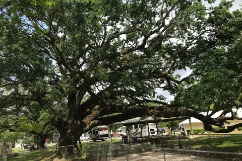 Pensacola RV Park