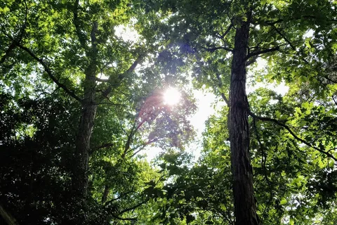 Hidden Acres Family Campground