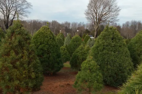 Hidden Acres Family Campground