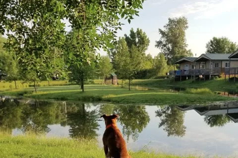 Adventure Bound Camping Resorts - Beaver Trails