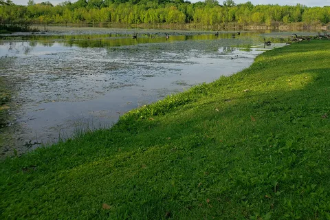 Fish Lake Family Resort