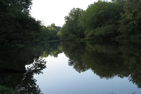 Beaver's Run RV Park and Fish Camp