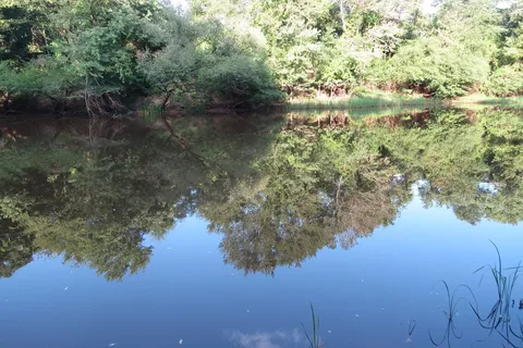 Beaver's Run RV Park and Fish Camp