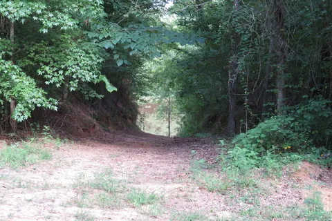 Beaver's Run RV Park and Fish Camp