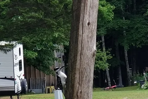 Will-O-Wood Campground