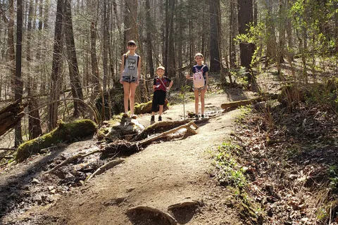 Whittleton - Natural Bridge State Resort Park