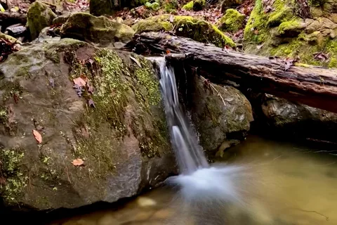 Whittleton - Natural Bridge State Resort Park