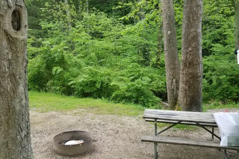 Whittleton - Natural Bridge State Resort Park
