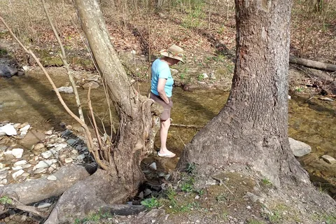 Whittleton - Natural Bridge State Resort Park