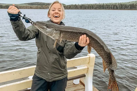 Golden Hook Camp