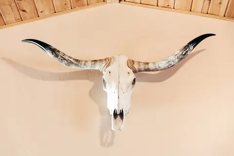 The Longhorn Ranch Lodge and RV Resort