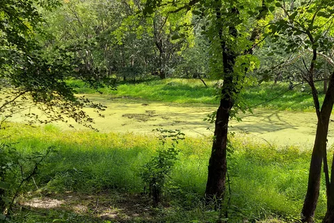 Country Camping RV Park
