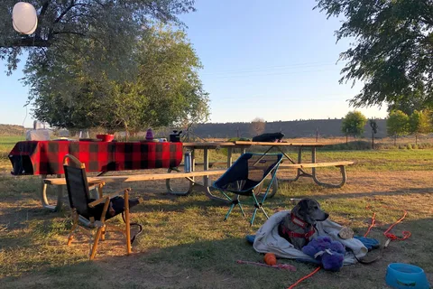 Crooked River Camp - Cove Palisades State Park