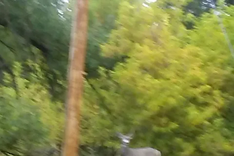 Bulldog Creek Campground