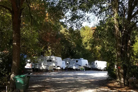 Live Oaks RV Parks