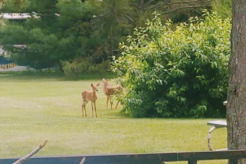 Peshtigo River Campground LLC