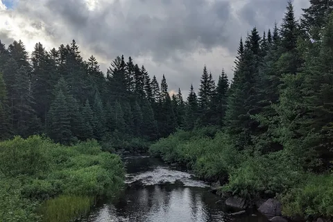 Lac aux Rats - Mont Tremblant Provincial Park