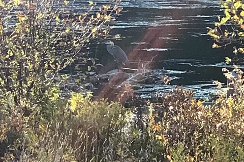 Lac aux Rats - Mont Tremblant Provincial Park