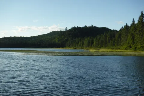 Lac aux Rats - Mont Tremblant Provincial Park