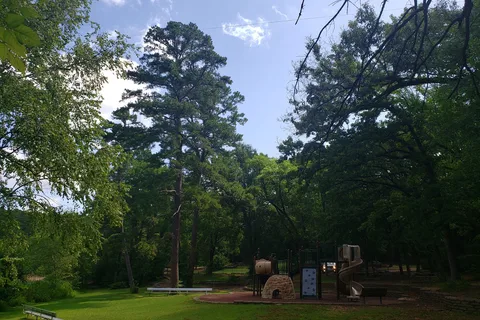 Big Pine - Tyler State Park
