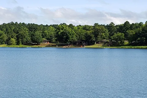 Big Pine - Tyler State Park