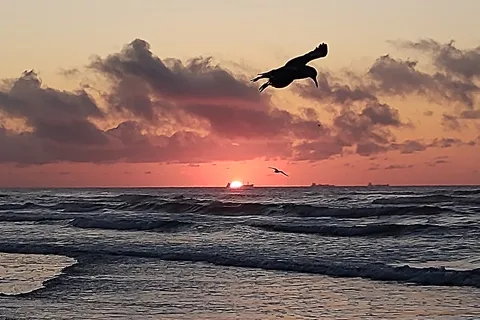 On The Beach RV Park