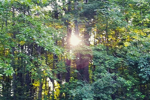 Hidden Lakes Family Campground