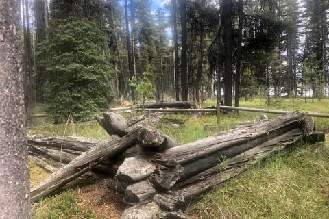 Pierre Greys Lakes Provincial Recreational Area