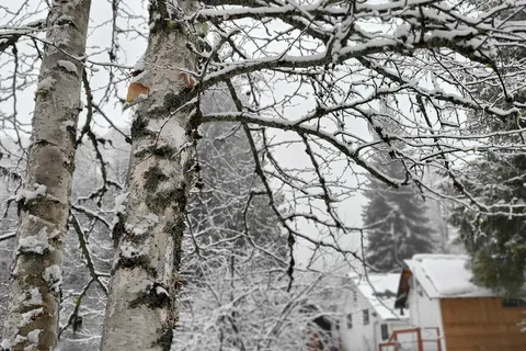Castlegar RV Park and Campground