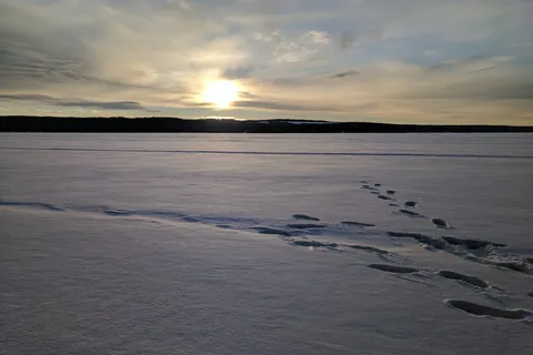 Beatton Provincial Park