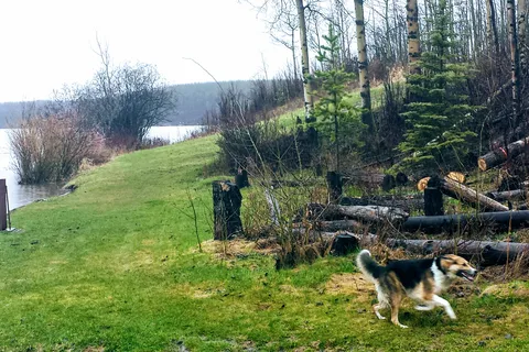 Beatton Provincial Park