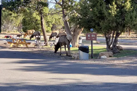 Trailer Village RV Park