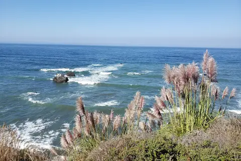 Westport-Union Landing State Beach