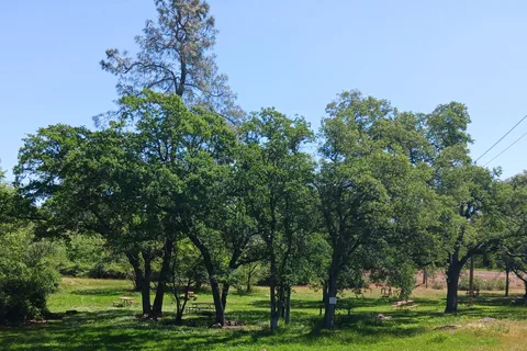 Auburn Gold Country RV Park