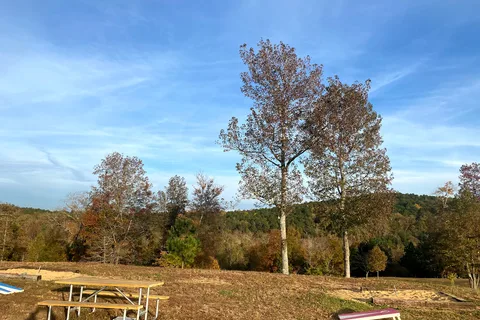 Franks Point Of View LLC