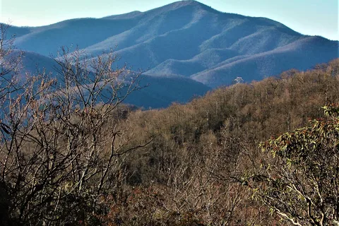 Ash Grove Mountain Cabins and Camping