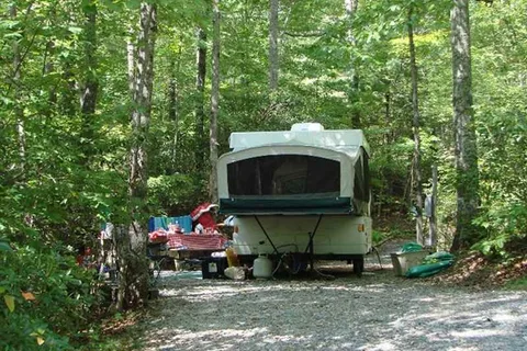 Ash Grove Mountain Cabins and Camping