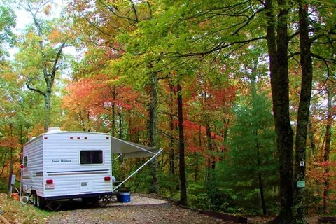 Ash Grove Mountain Cabins and Camping