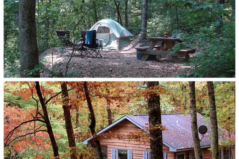 Ash Grove Mountain Cabins and Camping
