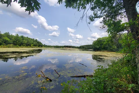 Hartman Creek State Park