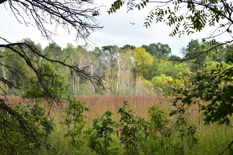 Hartman Creek State Park