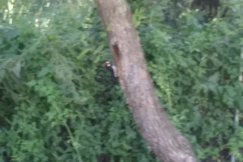 Native Falls Campground