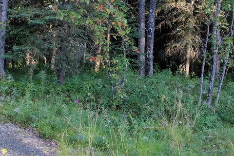 Izaak Walton Campground